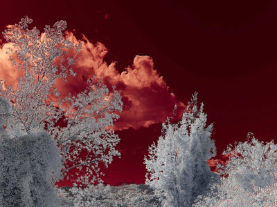 How to Use Infrared Filters for Stunning Photos