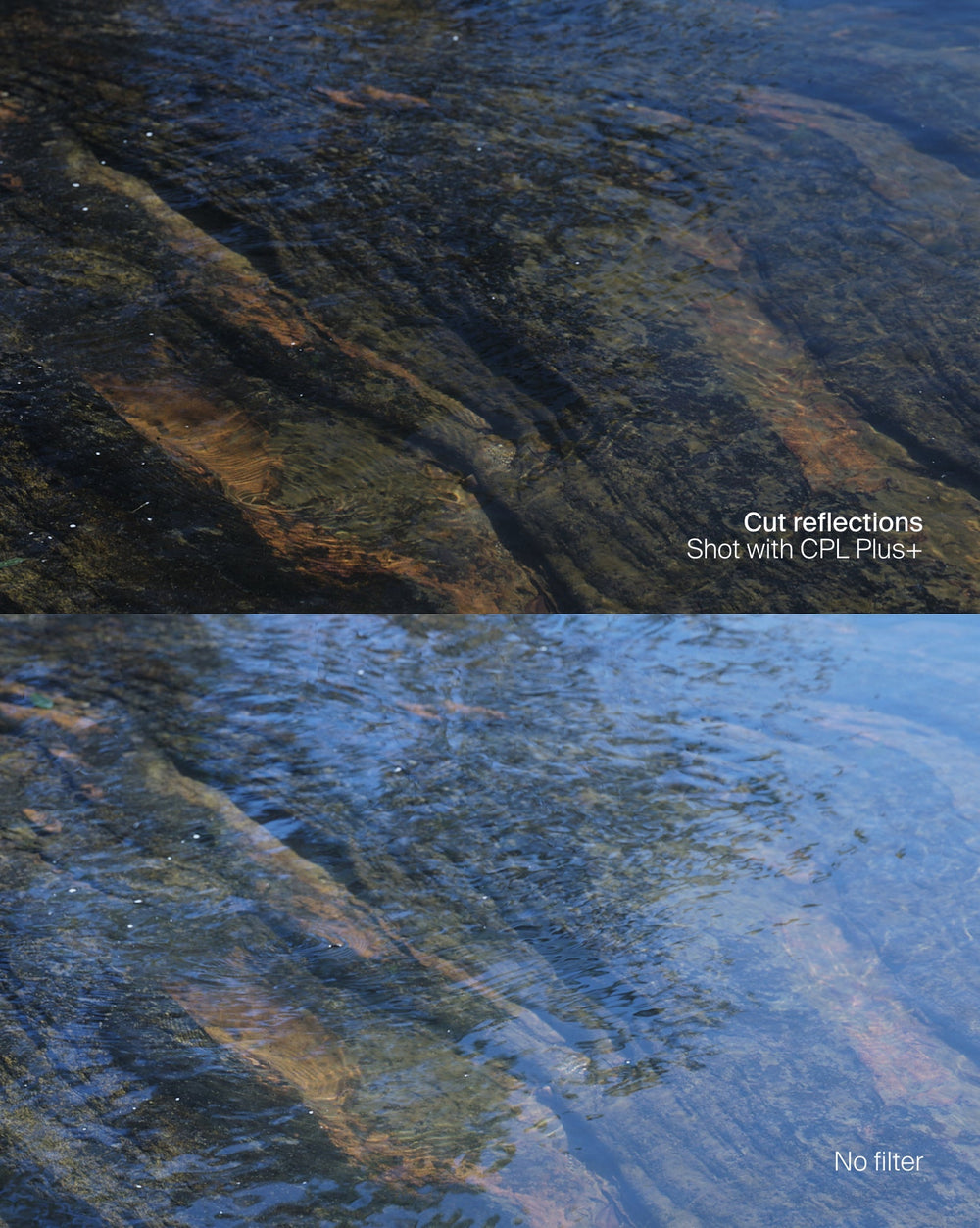 Magnetic Base Filter Kit Plus