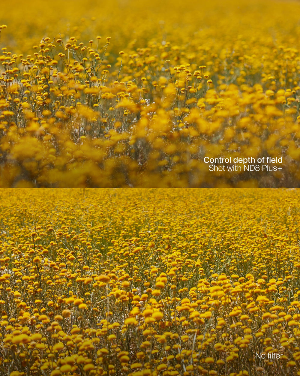 ND Spectrum Filter Kit Plus